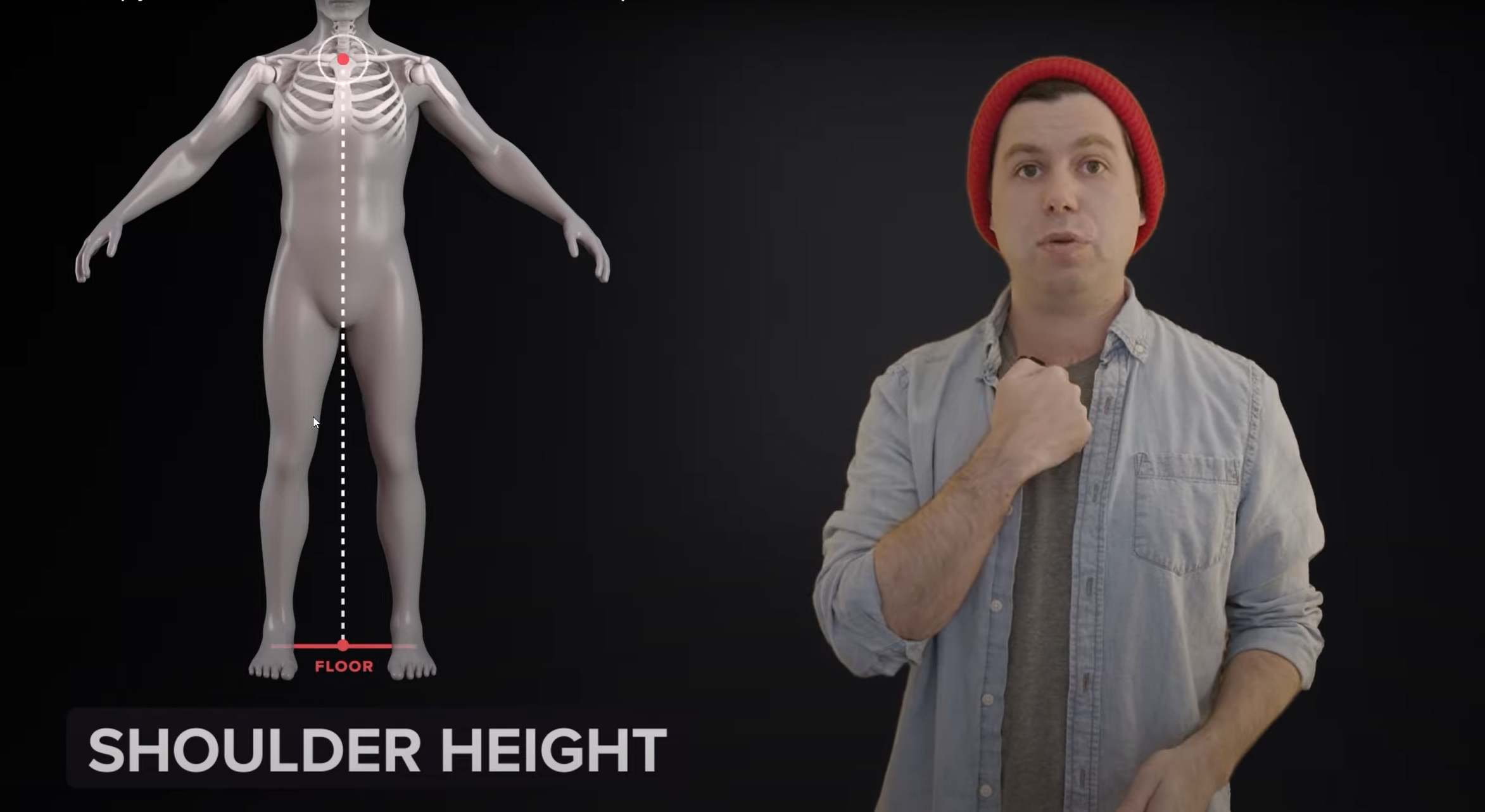shoulder_height.png