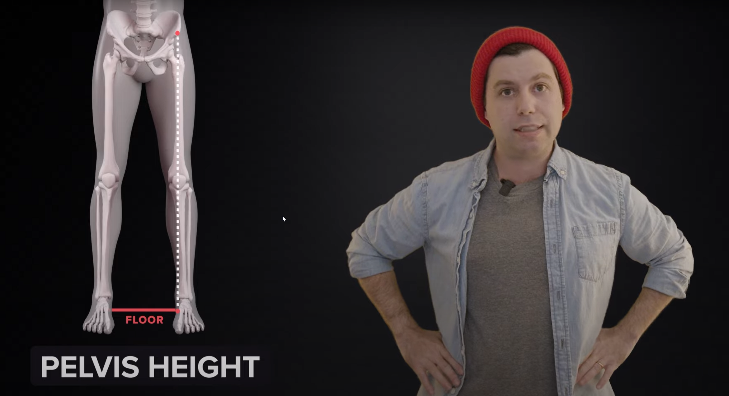 pelvis_height.png
