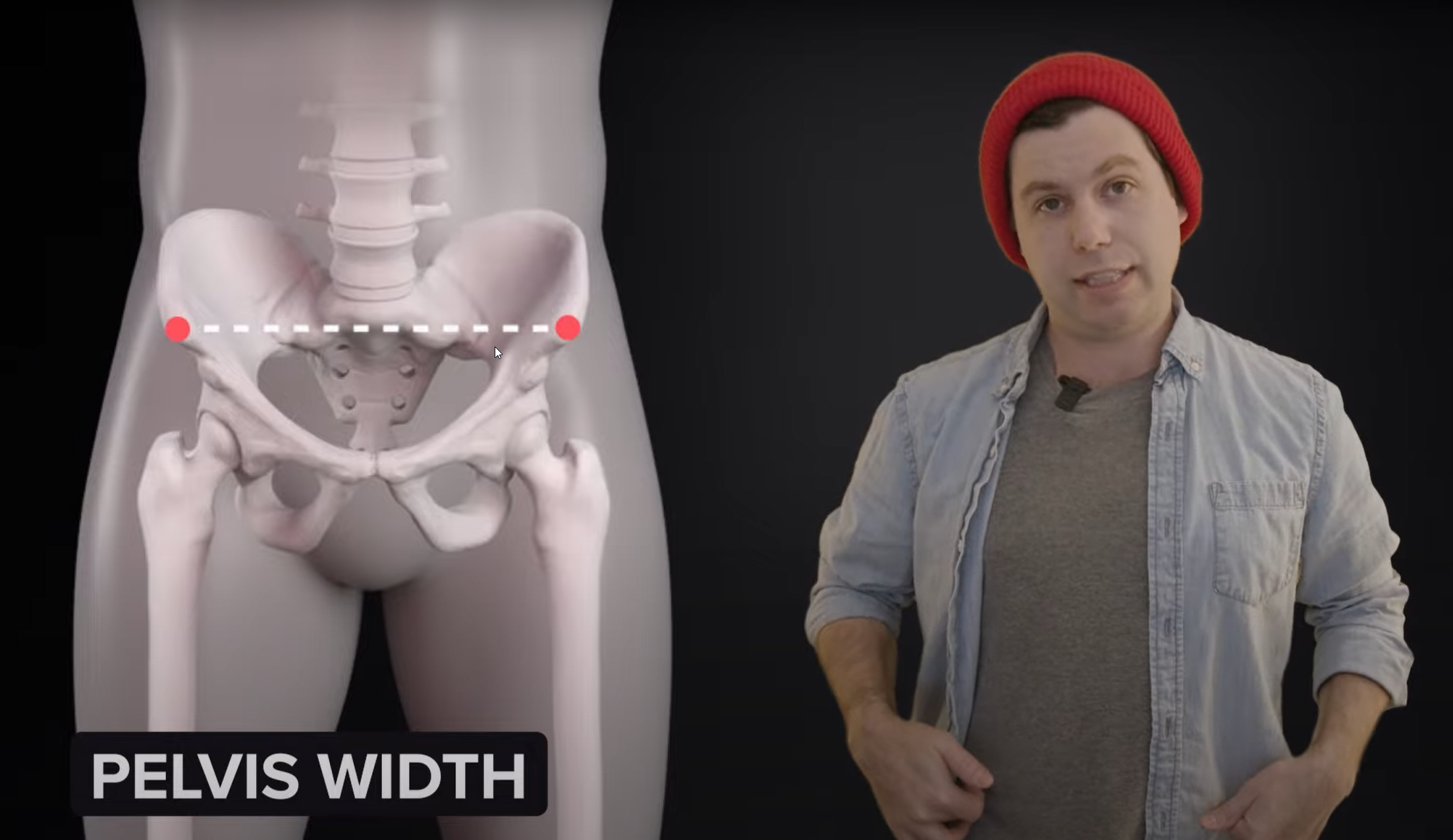 pelvis_width.png