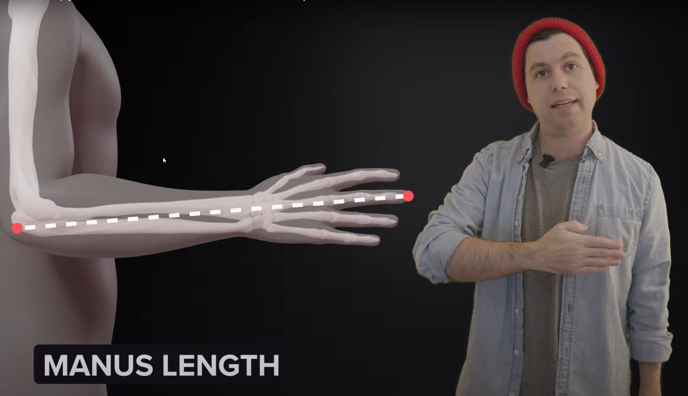 manus_length.png